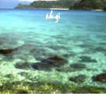 �wNagi�x