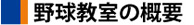 �싅�����̊T�v