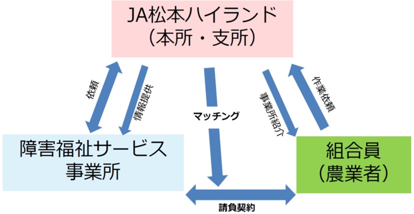 松本ハイランド農業協同組合の農福連携の体制